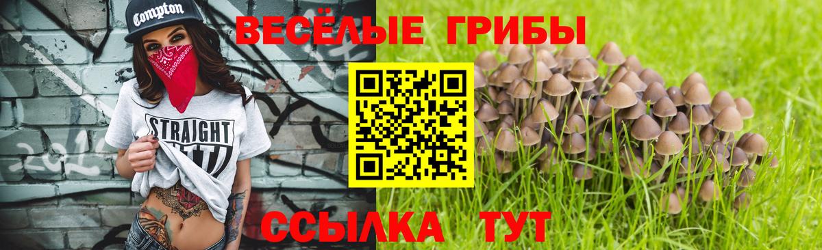 где найти   Вход с VPN  Павловский Посад  Галлюциногенные грибы мицелий 